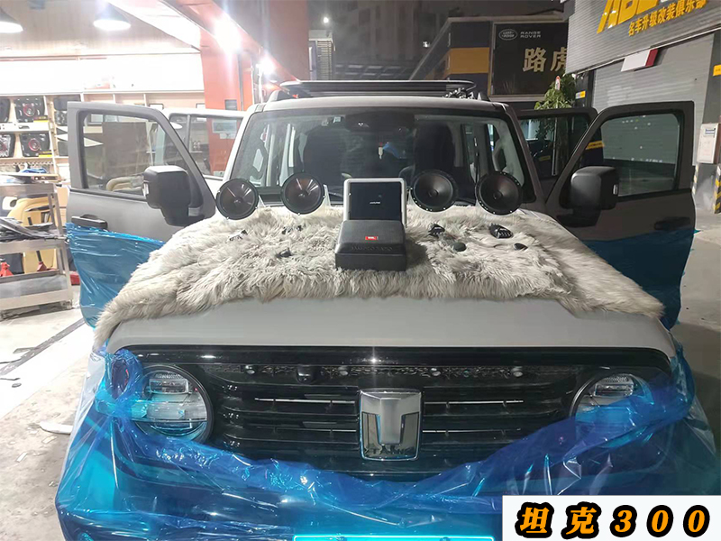 坦克300升級(jí)原車8個(gè)喇叭，加裝阿爾派